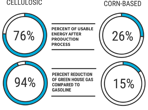 Infographic: Biomass Biofuel | SciJourner